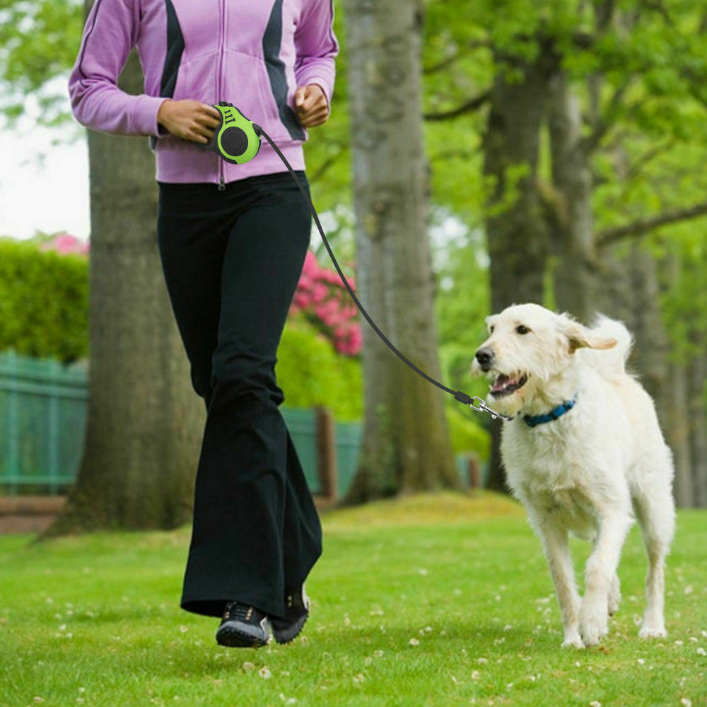 Automatic Retractable Dog Leash/Collar
