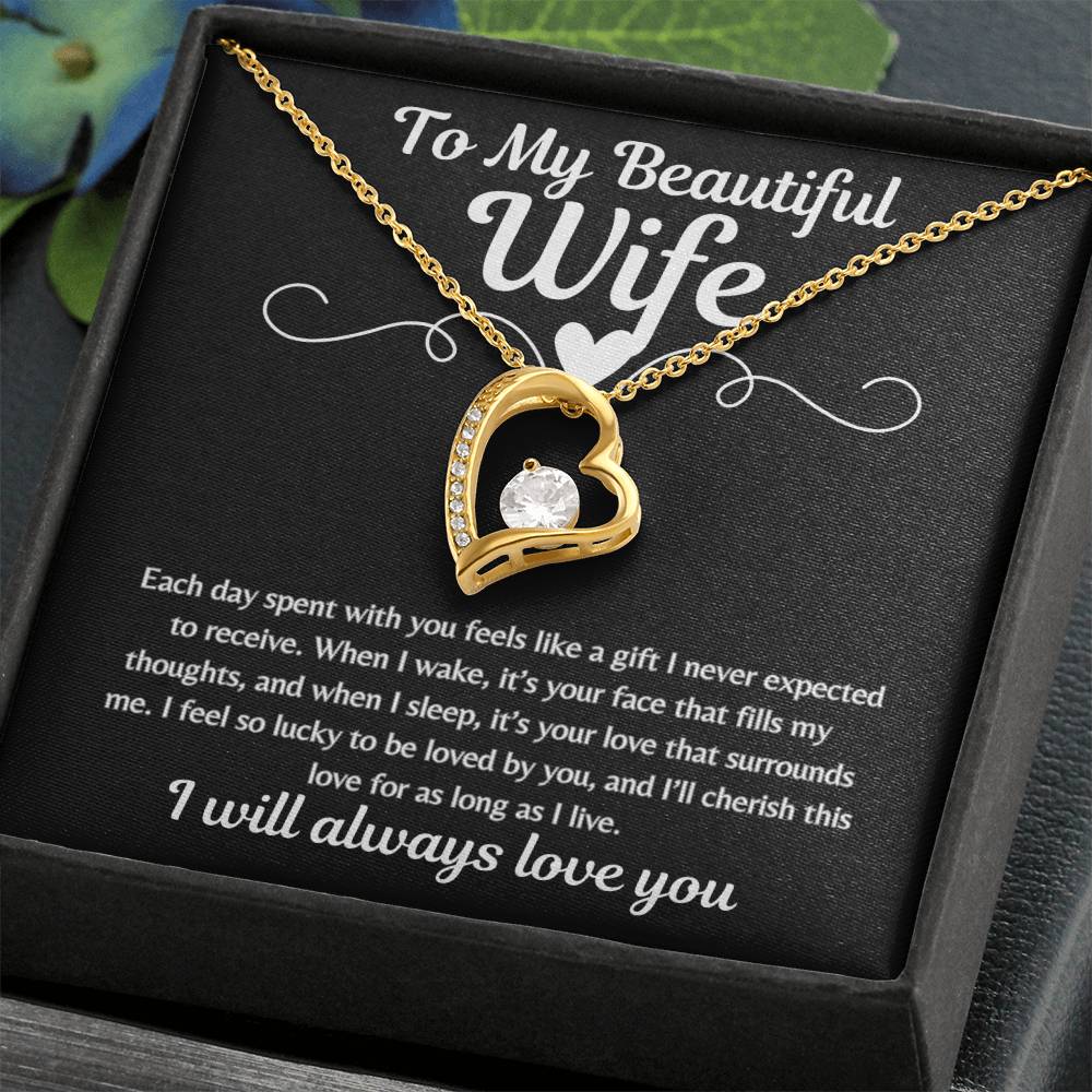 To My Beautiful Wife Lucky in Love