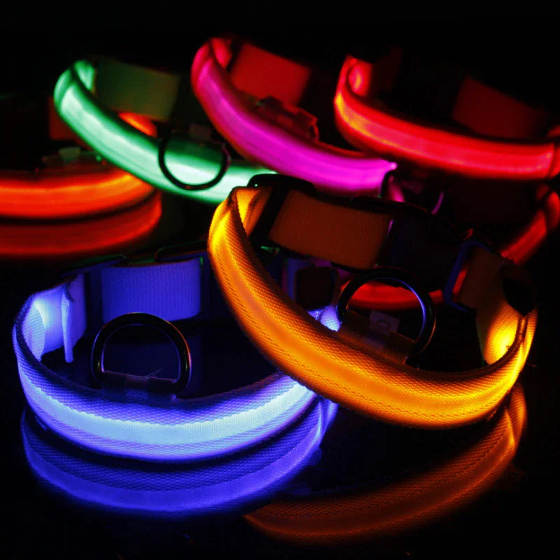 LED Adjustable Dog Safety Collar, Waterproof