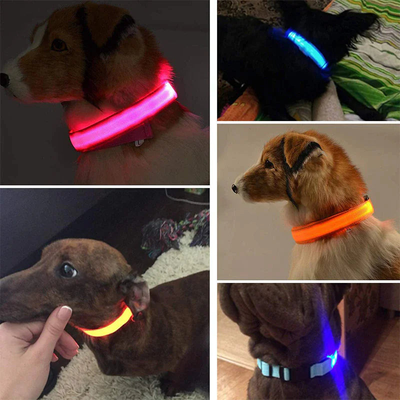 LED Adjustable Dog Safety Collar, Waterproof