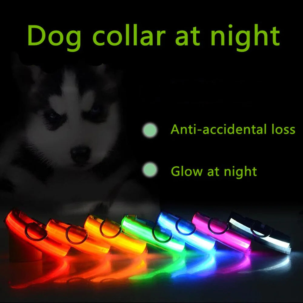 LED Adjustable Dog Safety Collar, Waterproof