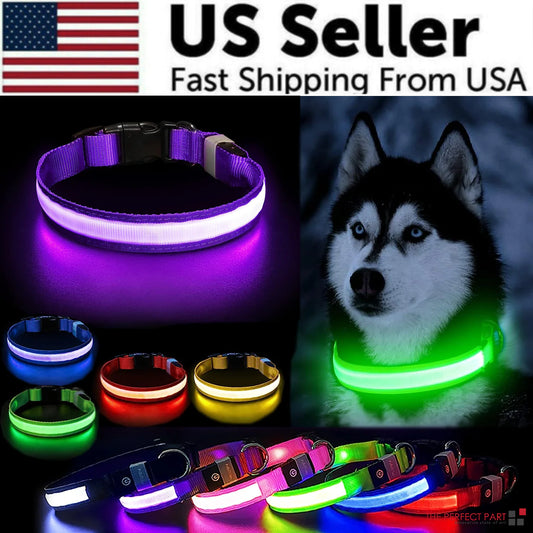 LED Adjustable Dog Safety Collar, Waterproof