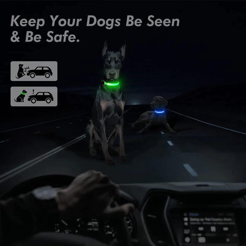 LED Adjustable Dog Safety Collar, Waterproof