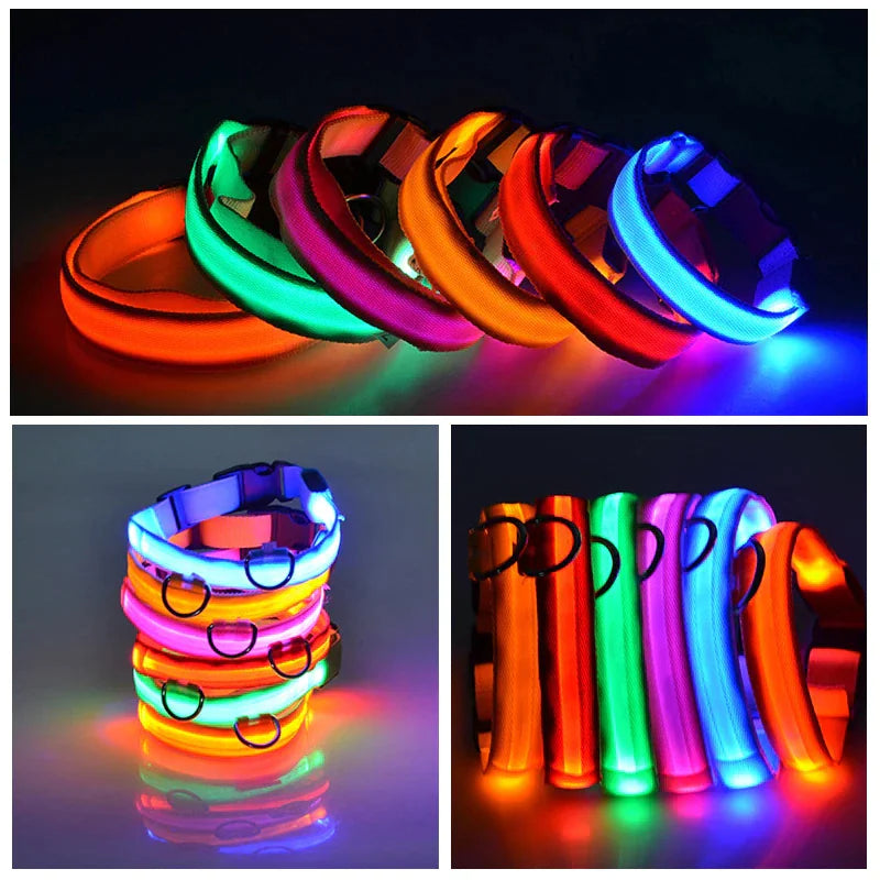 LED Adjustable Dog Safety Collar, Waterproof