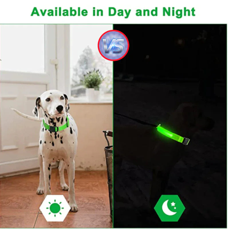 LED Adjustable Dog Safety Collar, Waterproof