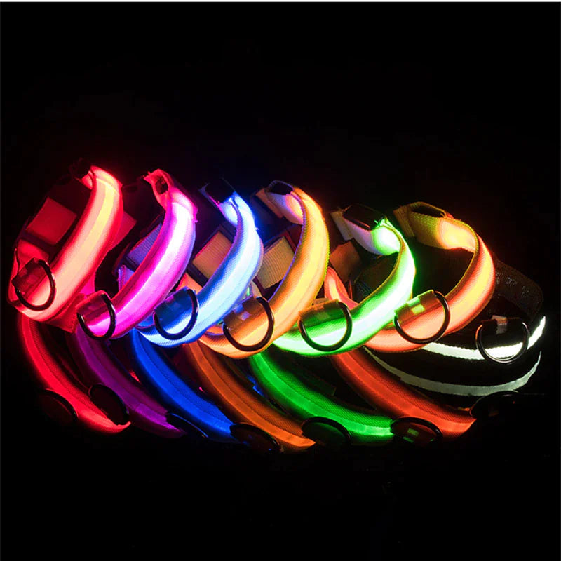 LED Adjustable Dog Safety Collar, Waterproof