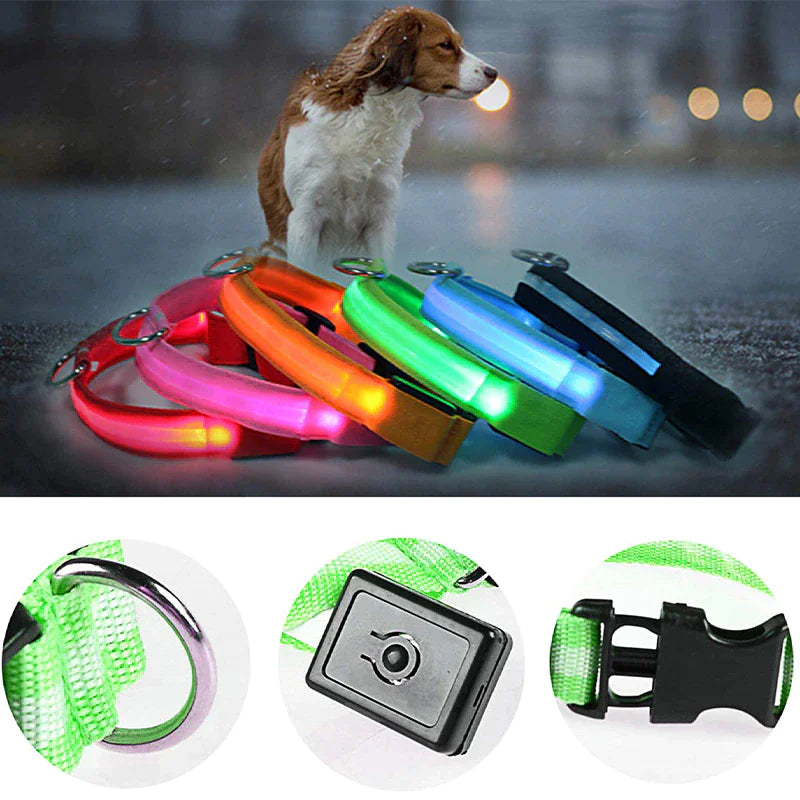 LED Adjustable Dog Safety Collar, Waterproof