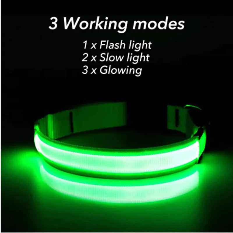 LED Adjustable Dog Safety Collar, Waterproof