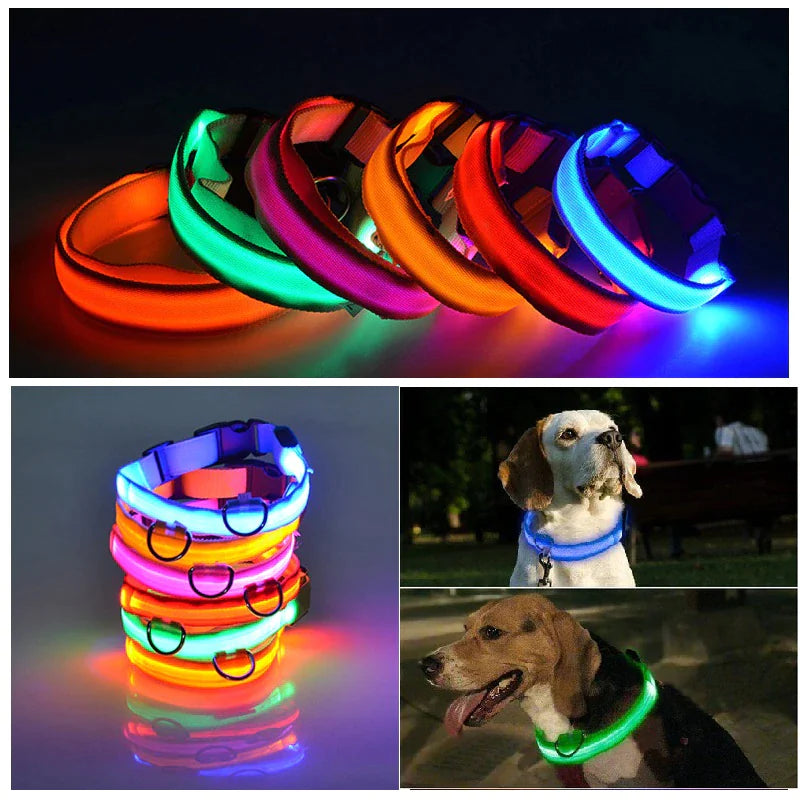 LED Adjustable Dog Safety Collar, Waterproof