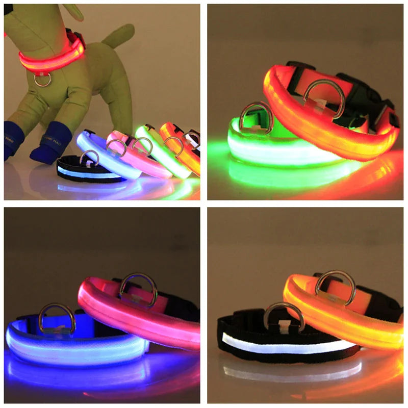 LED Adjustable Dog Safety Collar, Waterproof