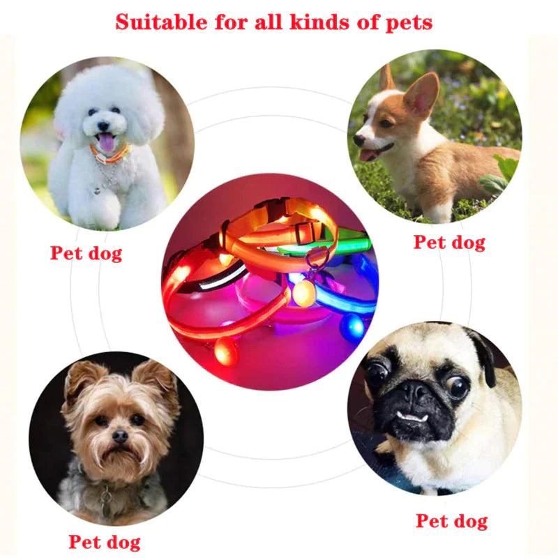 LED Adjustable Dog Safety Collar, Waterproof