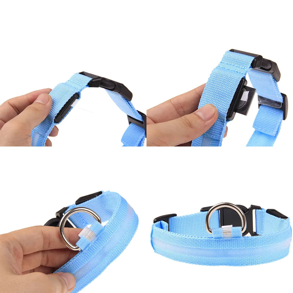 LED Adjustable Dog Safety Collar, Waterproof