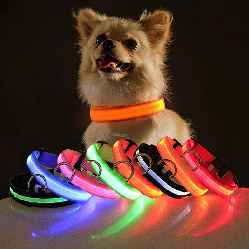 LED Adjustable Dog Safety Collar, Waterproof