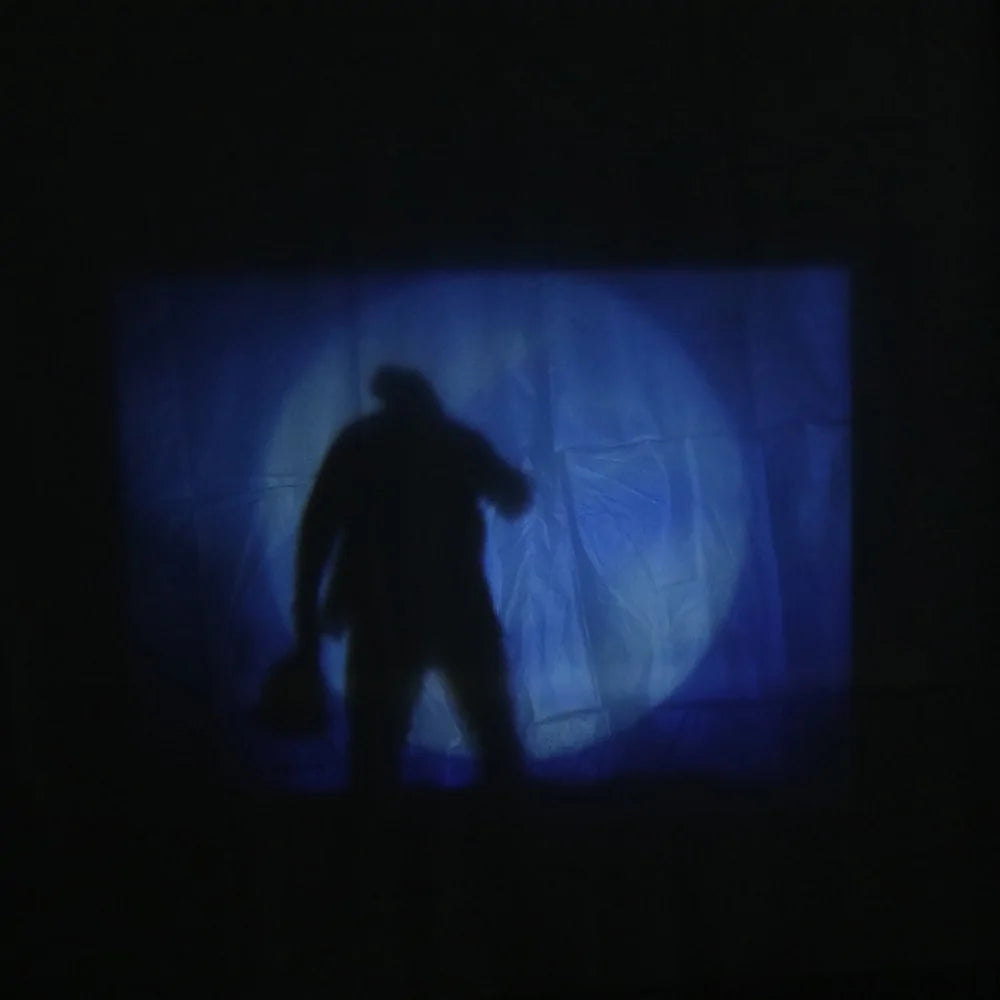 Fantasia-Christmas/Halloween Holographic Projection